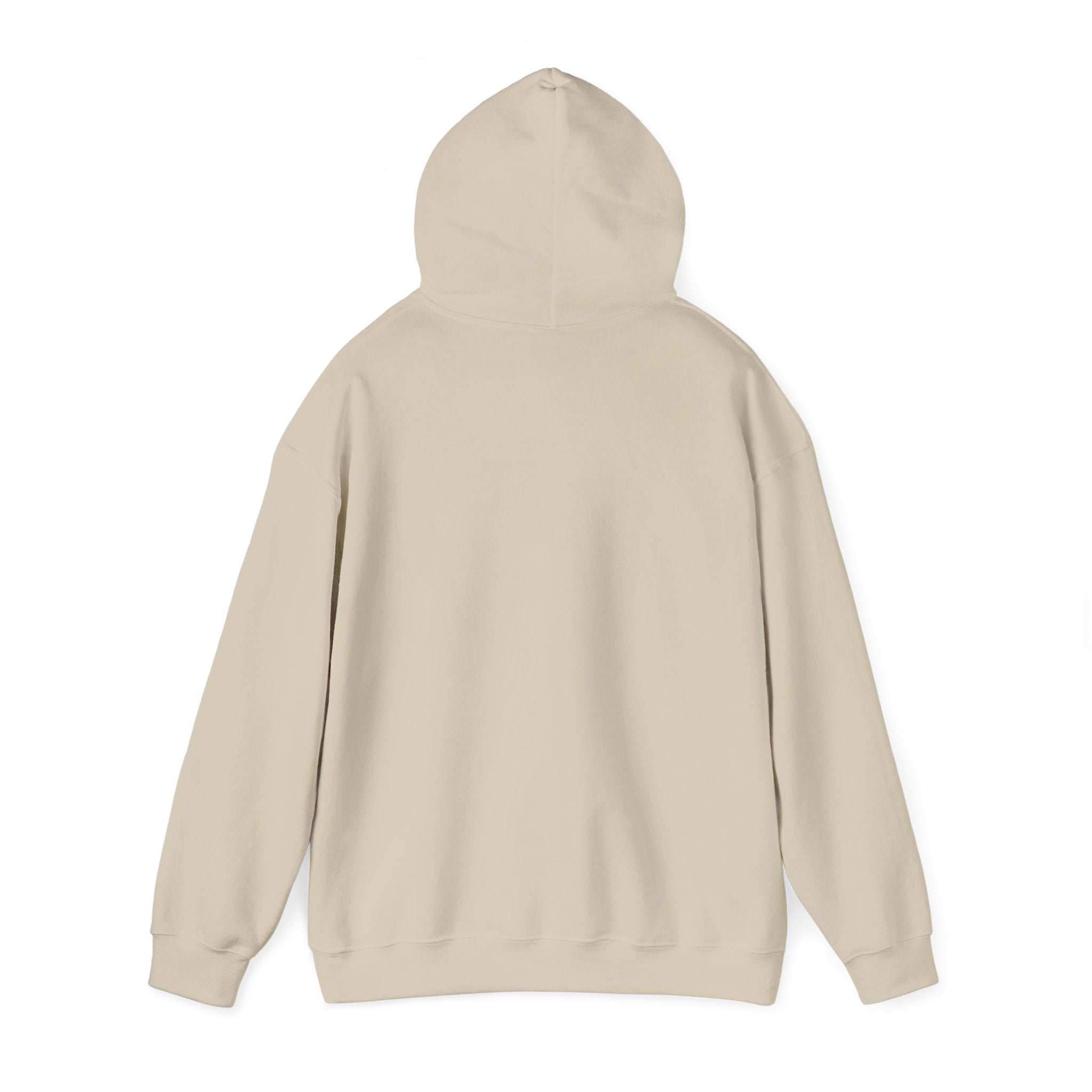 Unisex "Timmy the Turtle" Hoodie Sweatshirt