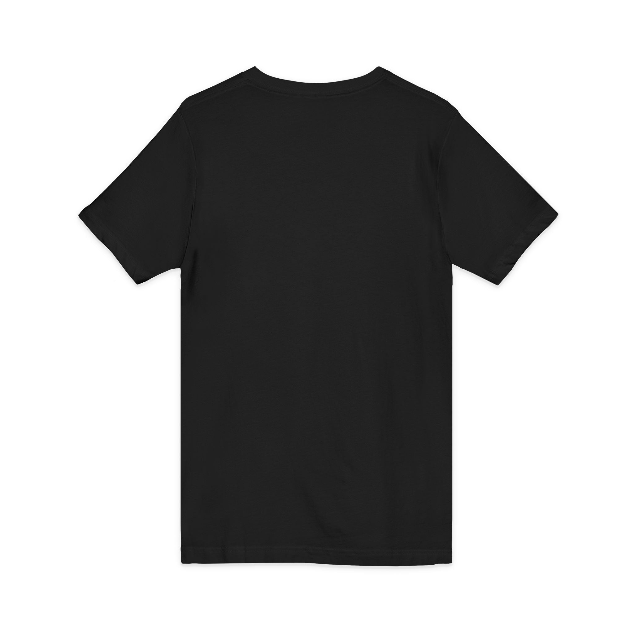 HatchSafe Turtle Logo V-Neck Tee