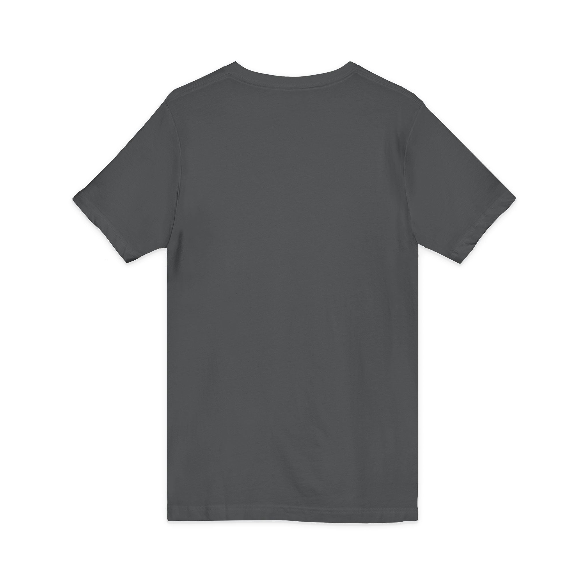 HatchSafe Turtle Logo V-Neck Tee