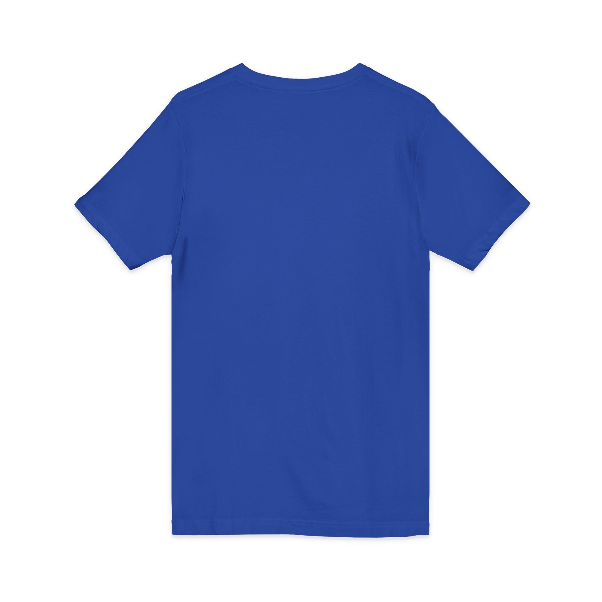 HatchSafe Turtle Logo V-Neck Tee