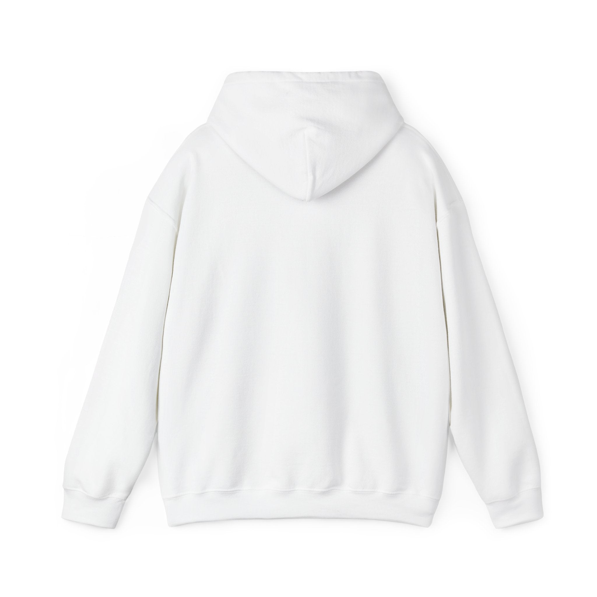 Unisex "Timmy the Turtle" Hoodie Sweatshirt