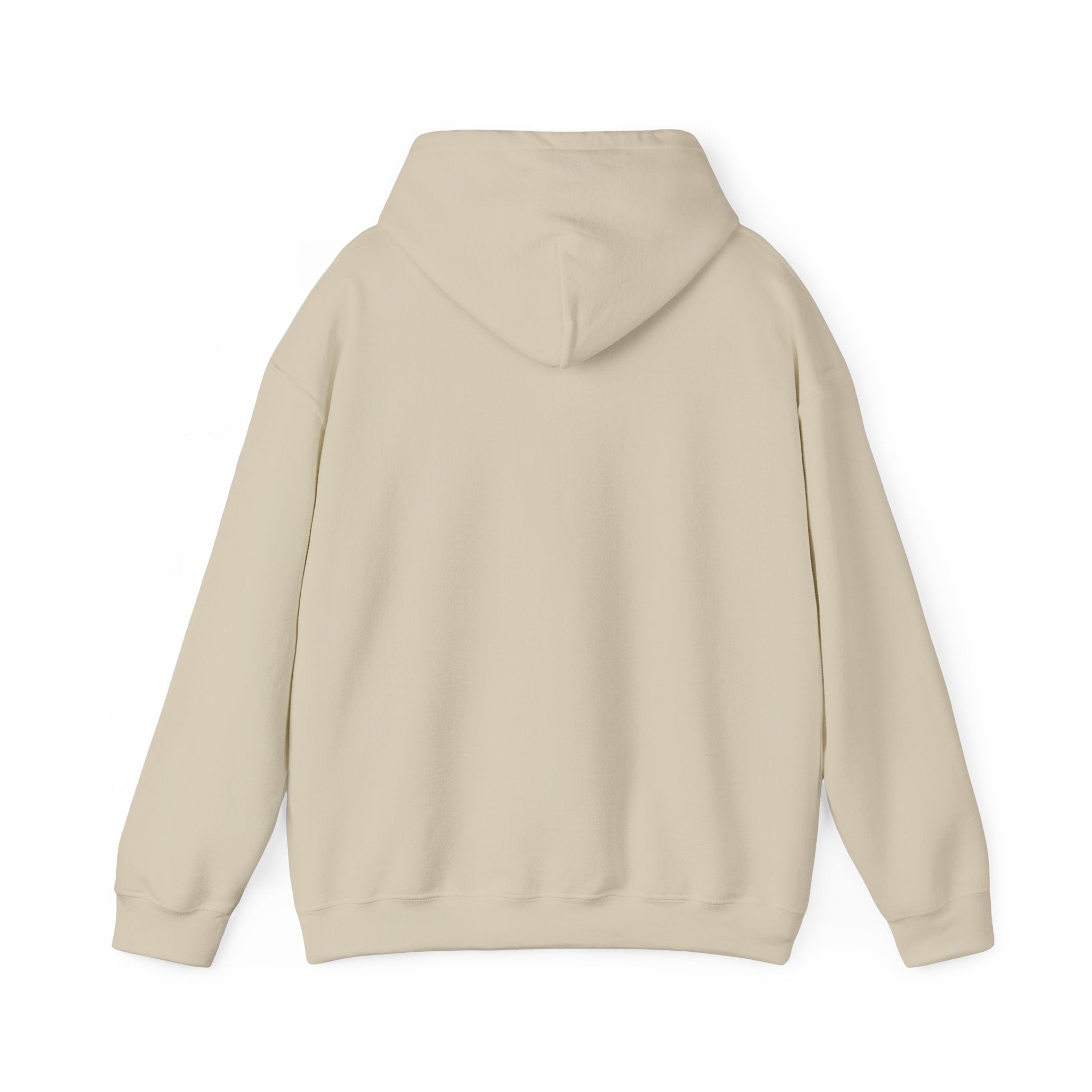 Unisex "Timmy the Turtle" Hoodie Sweatshirt