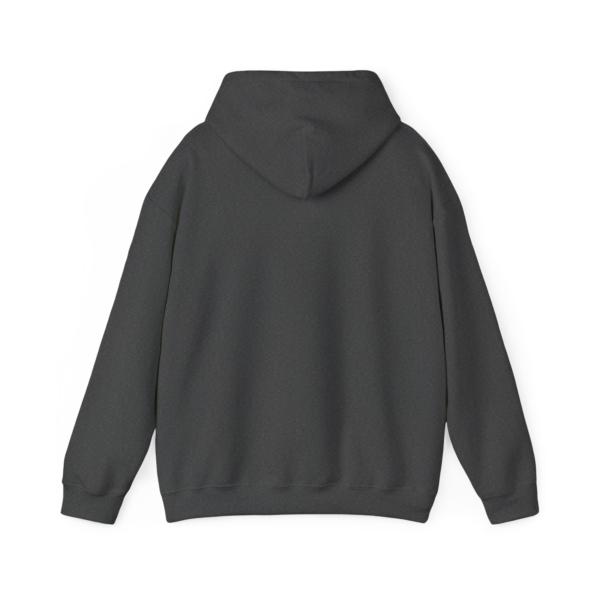 Unisex "Timmy the Turtle" Hoodie Sweatshirt