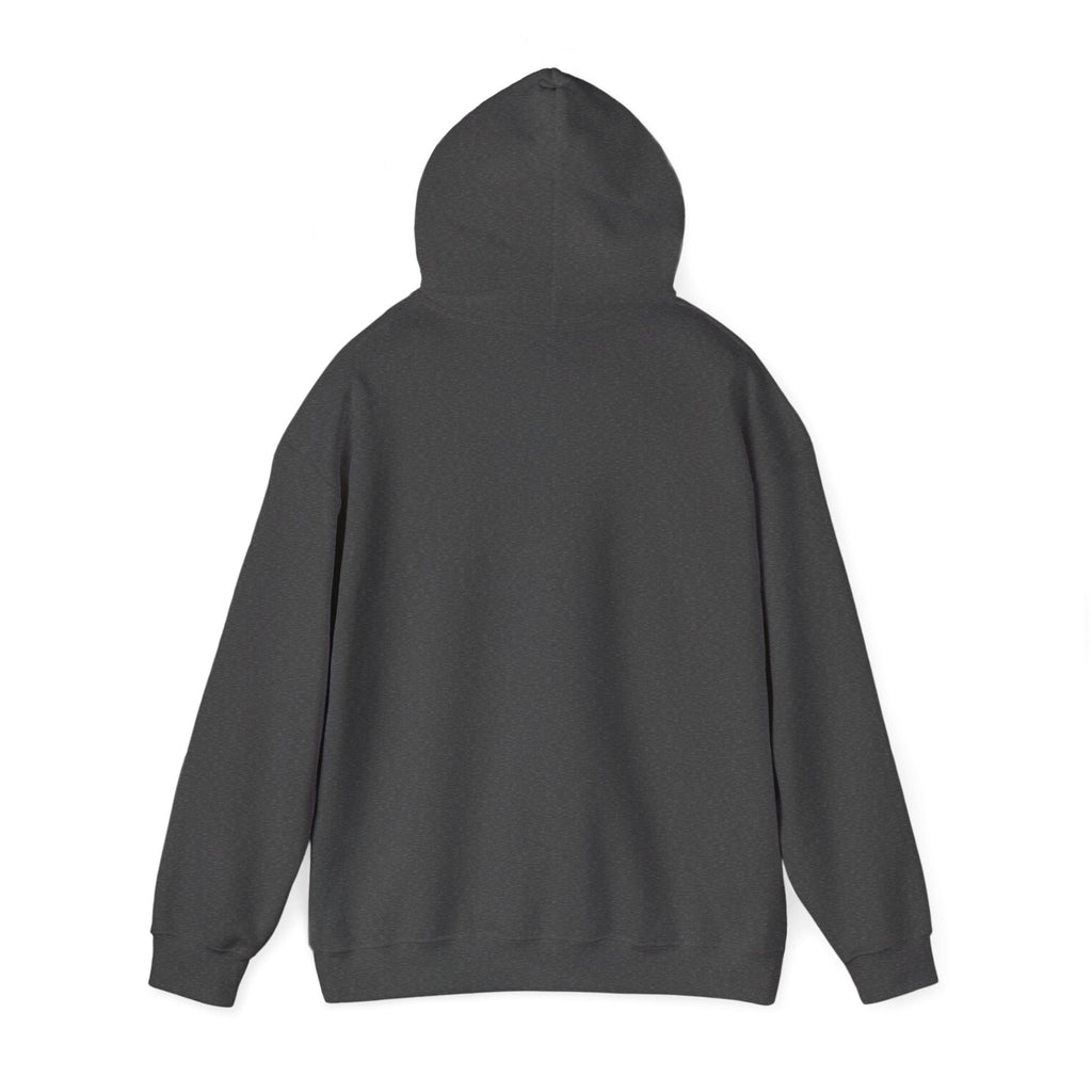 Unisex "Timmy the Turtle" Hoodie Sweatshirt