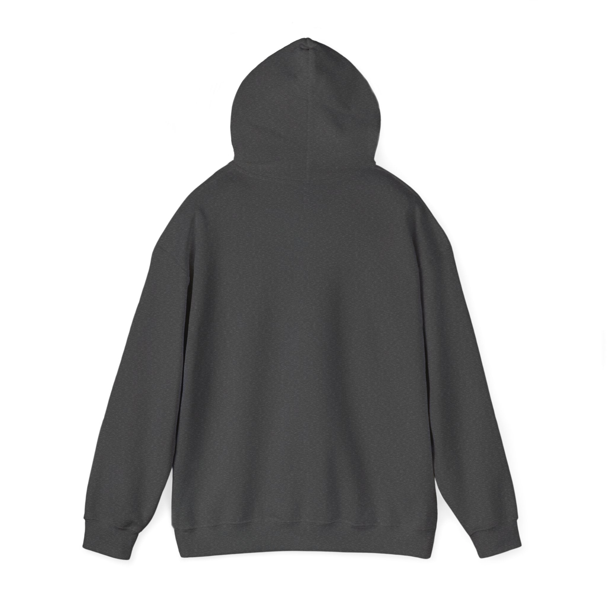 Unisex "Timmy the Turtle" Hoodie Sweatshirt