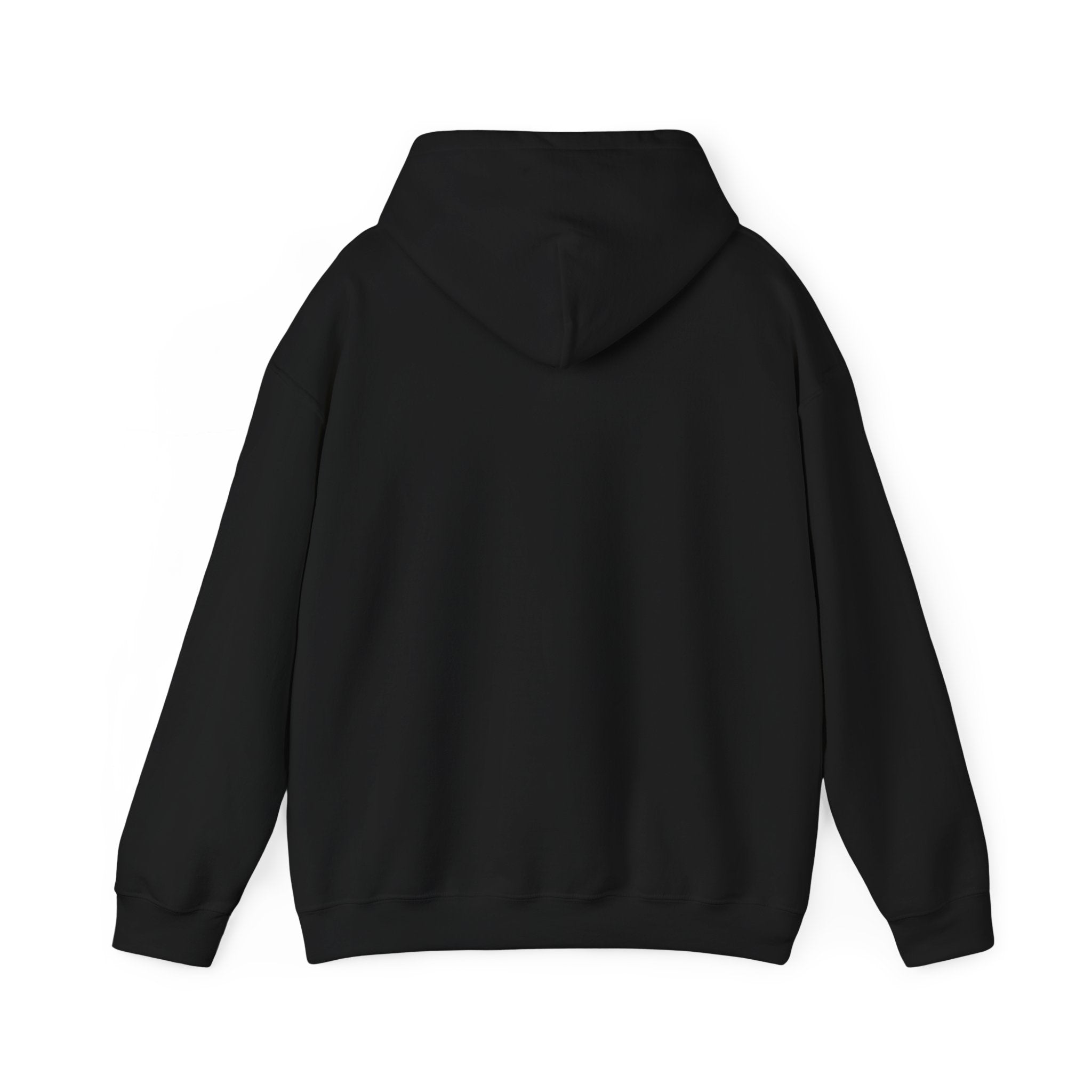 Unisex "Timmy the Turtle" Hoodie Sweatshirt