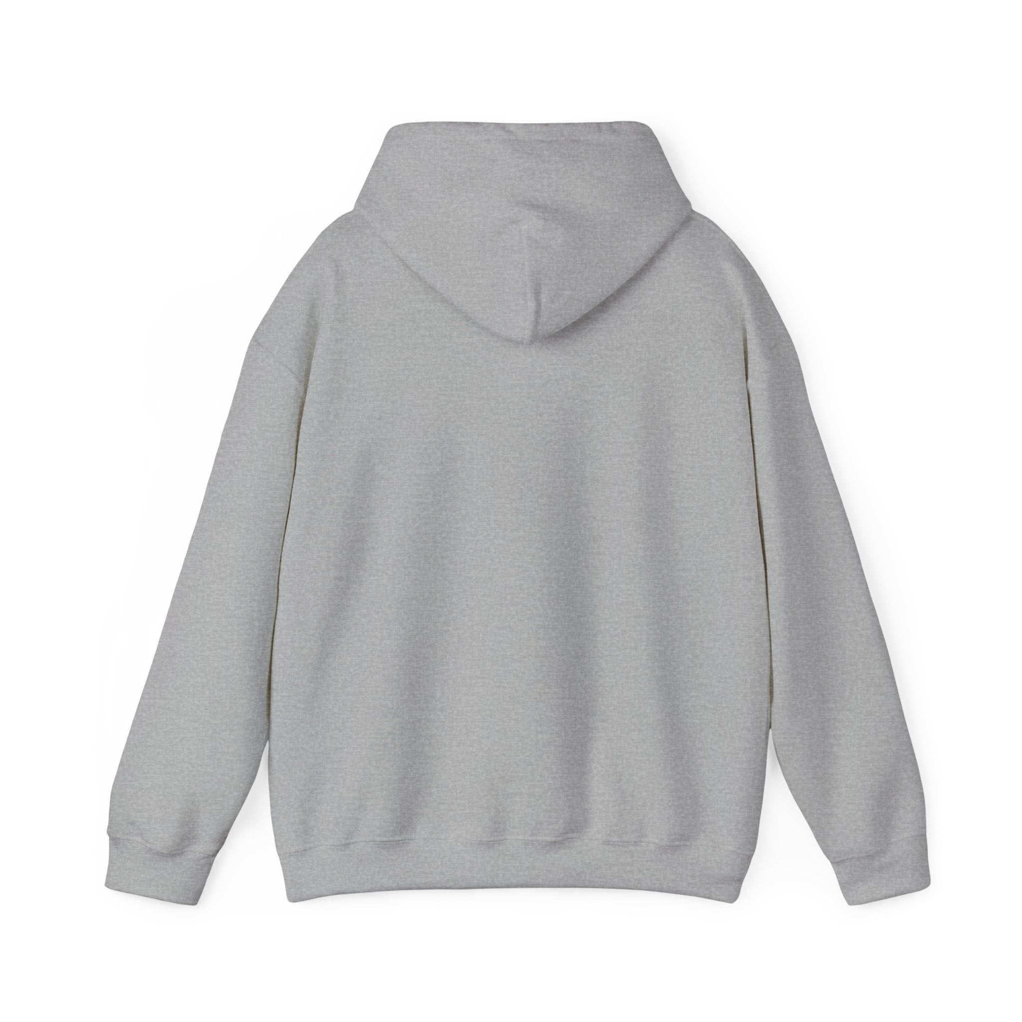Unisex "Timmy the Turtle" Hoodie Sweatshirt