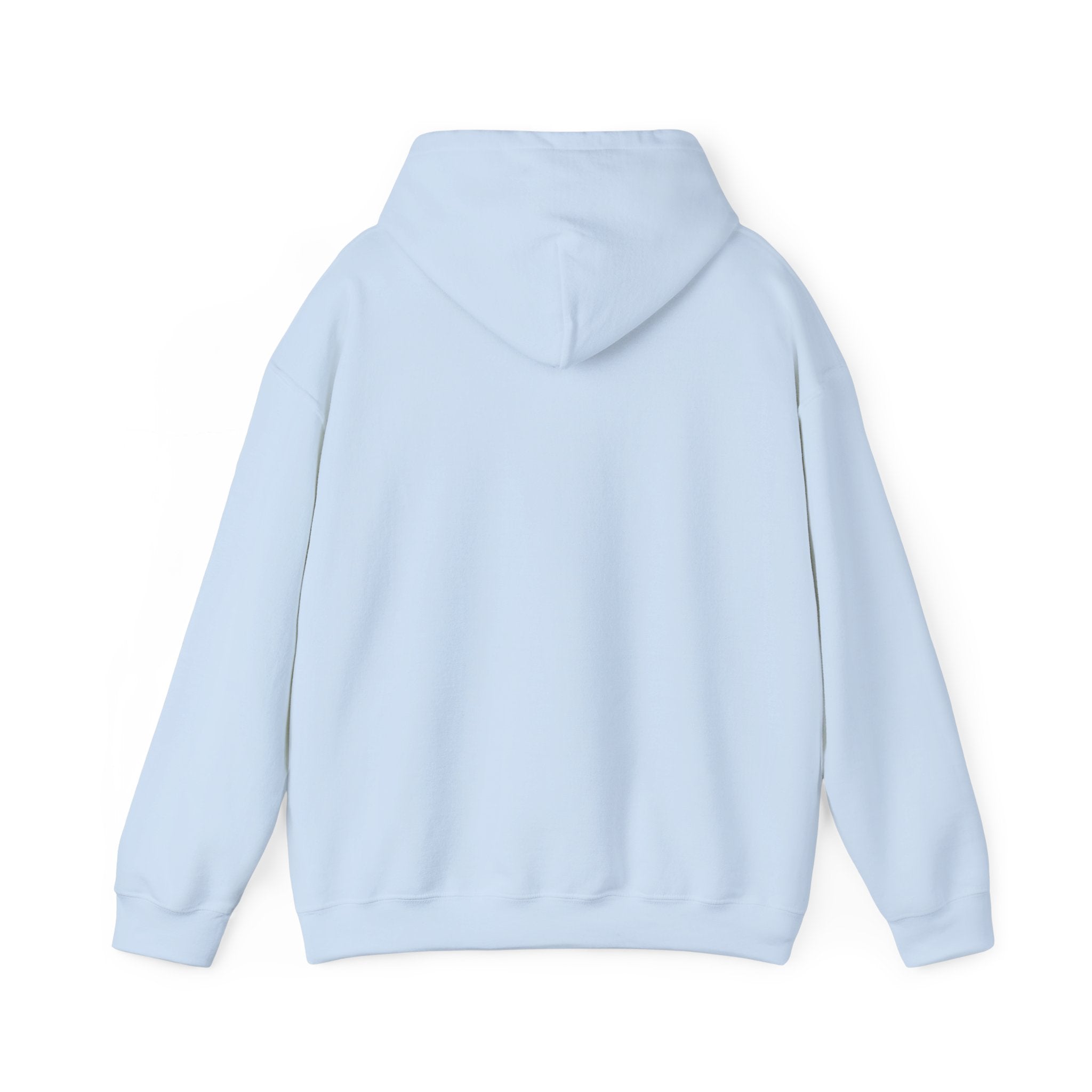Unisex "Timmy the Turtle" Hoodie Sweatshirt