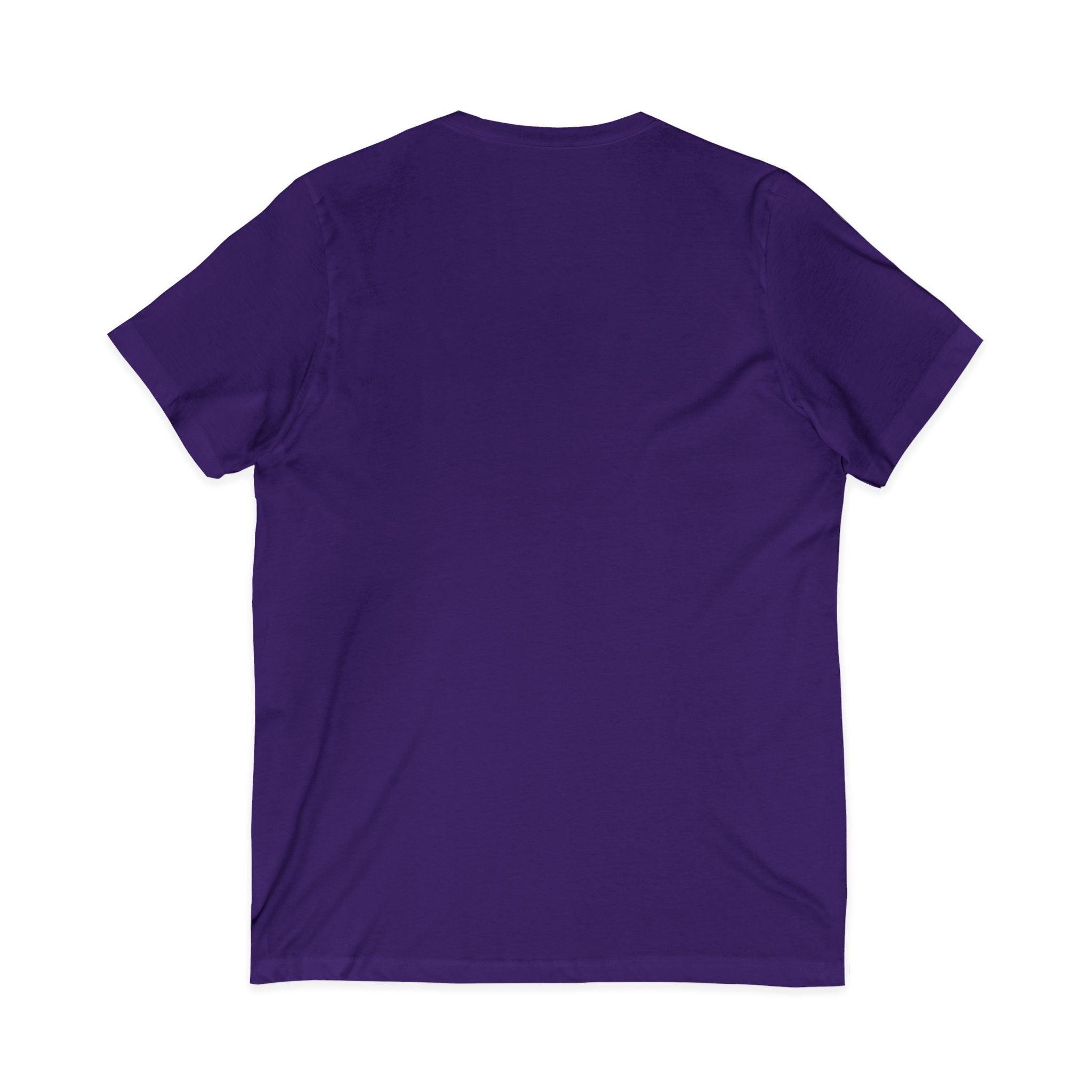 HatchSafe Turtle Logo V-Neck Tee
