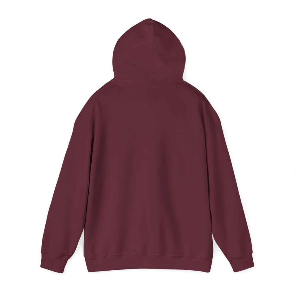 Unisex "Timmy the Turtle" Hoodie Sweatshirt