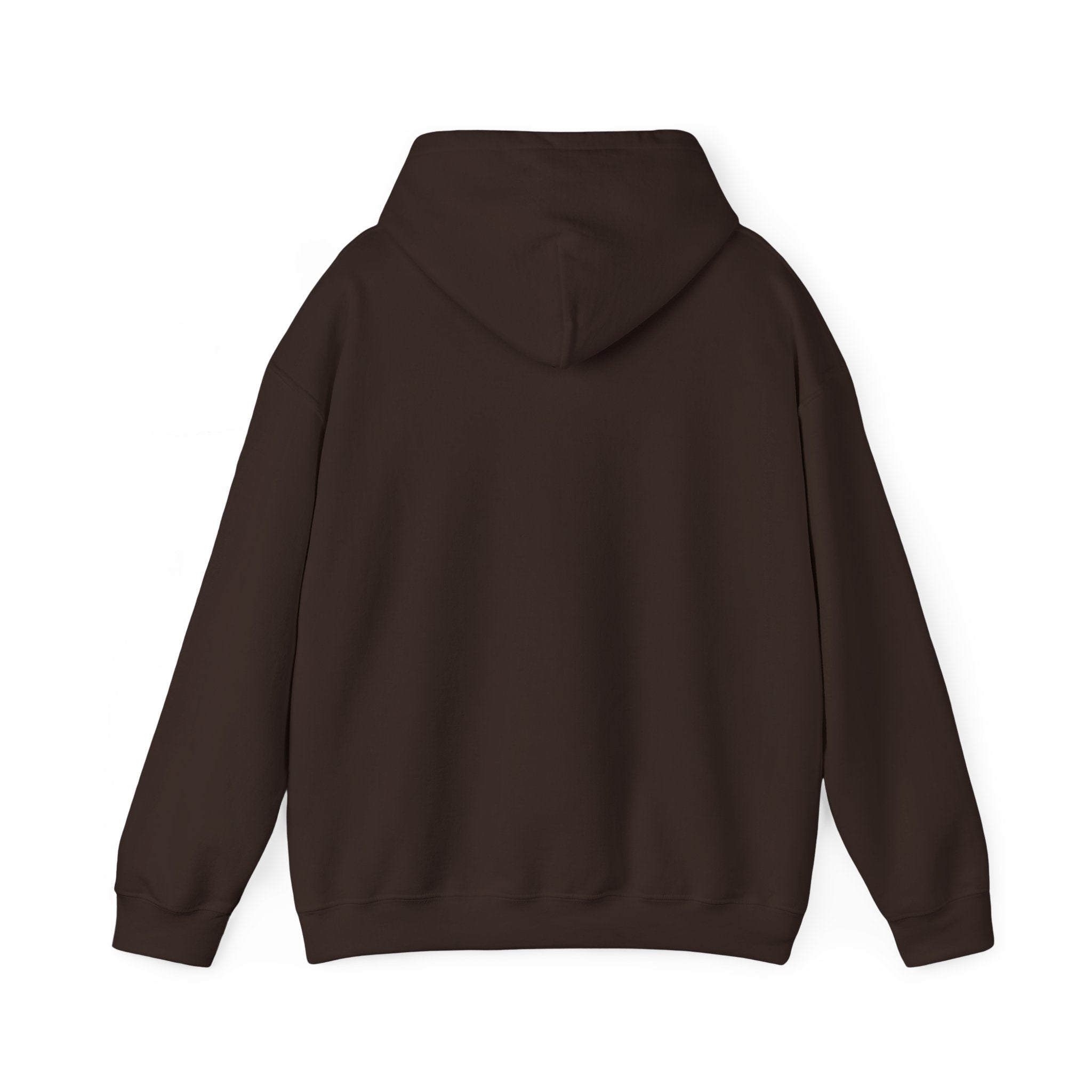Unisex "Timmy the Turtle" Hoodie Sweatshirt