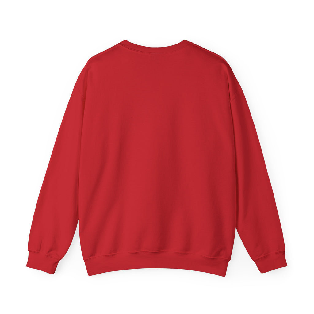 HatchSafe "Timmy The Turtle" Logo Cozy Pullover