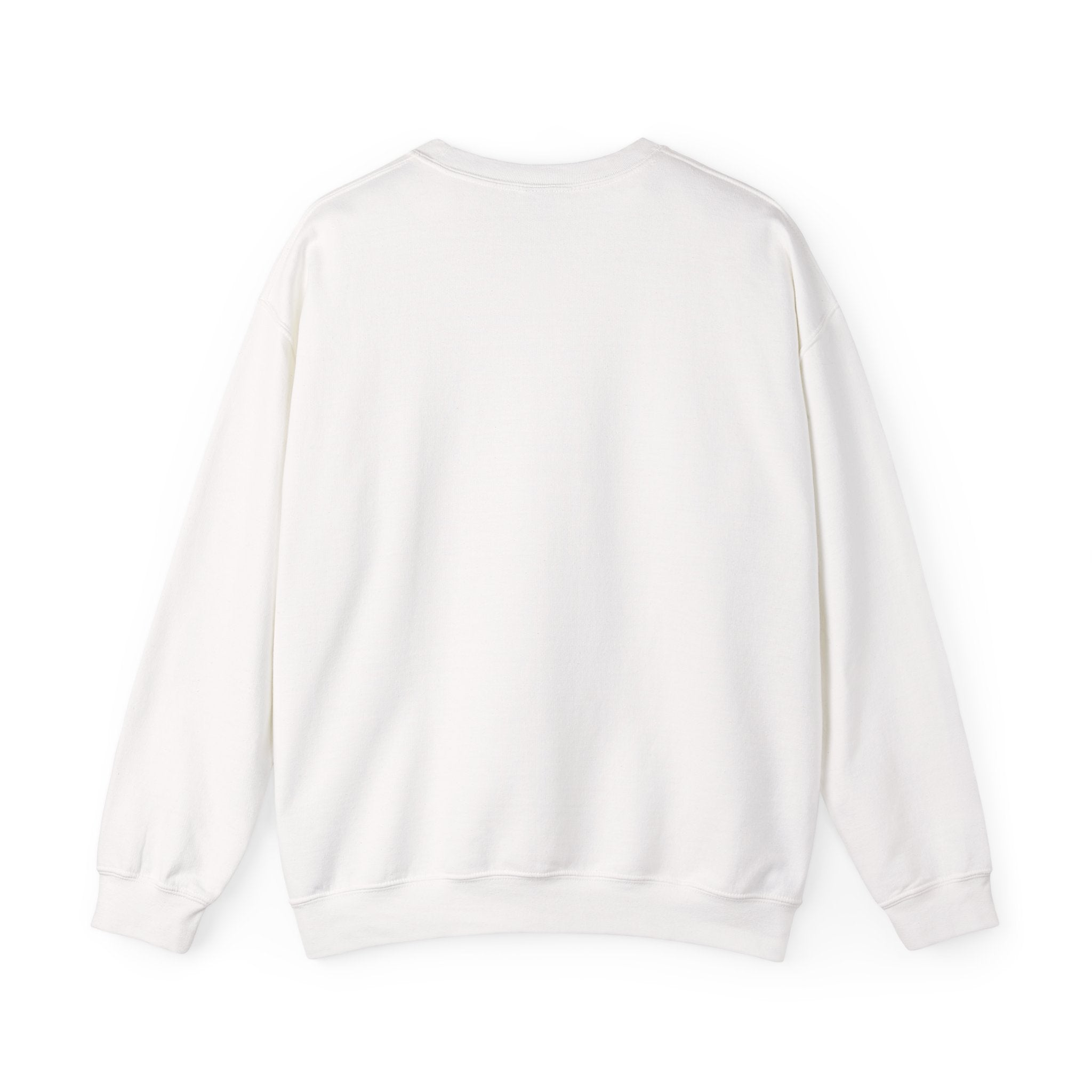 HatchSafe "Timmy The Turtle" Logo Cozy Pullover