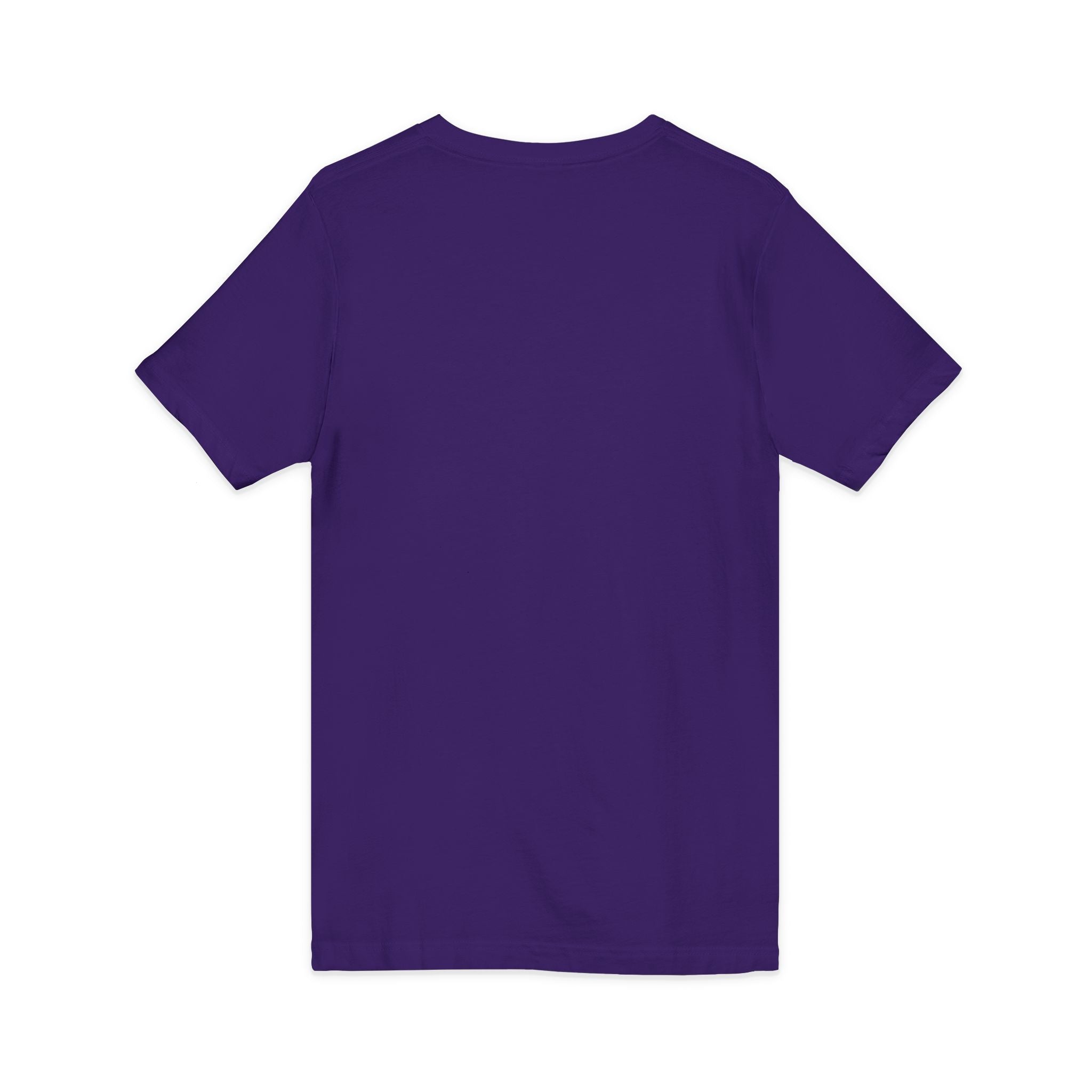 HatchSafe Turtle Logo V-Neck Tee