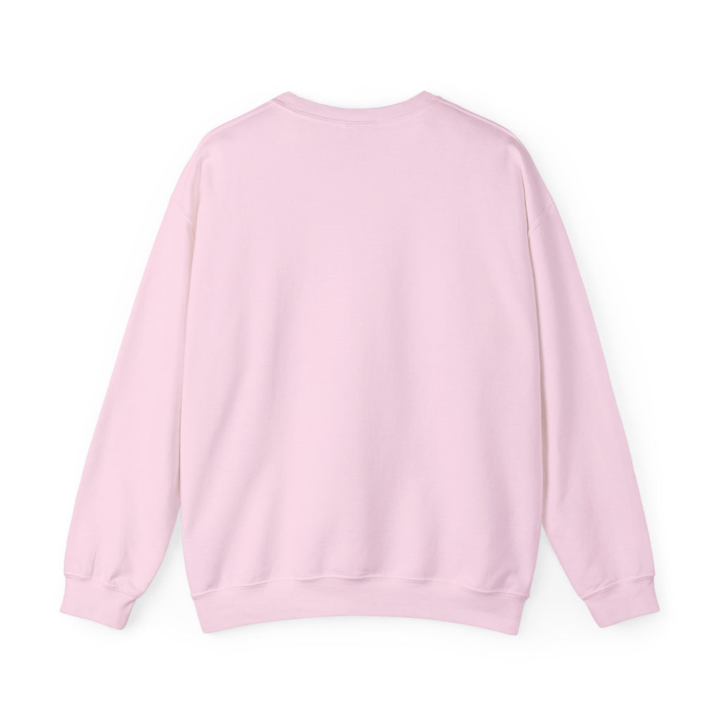 HatchSafe "Timmy The Turtle" Logo Cozy Pullover