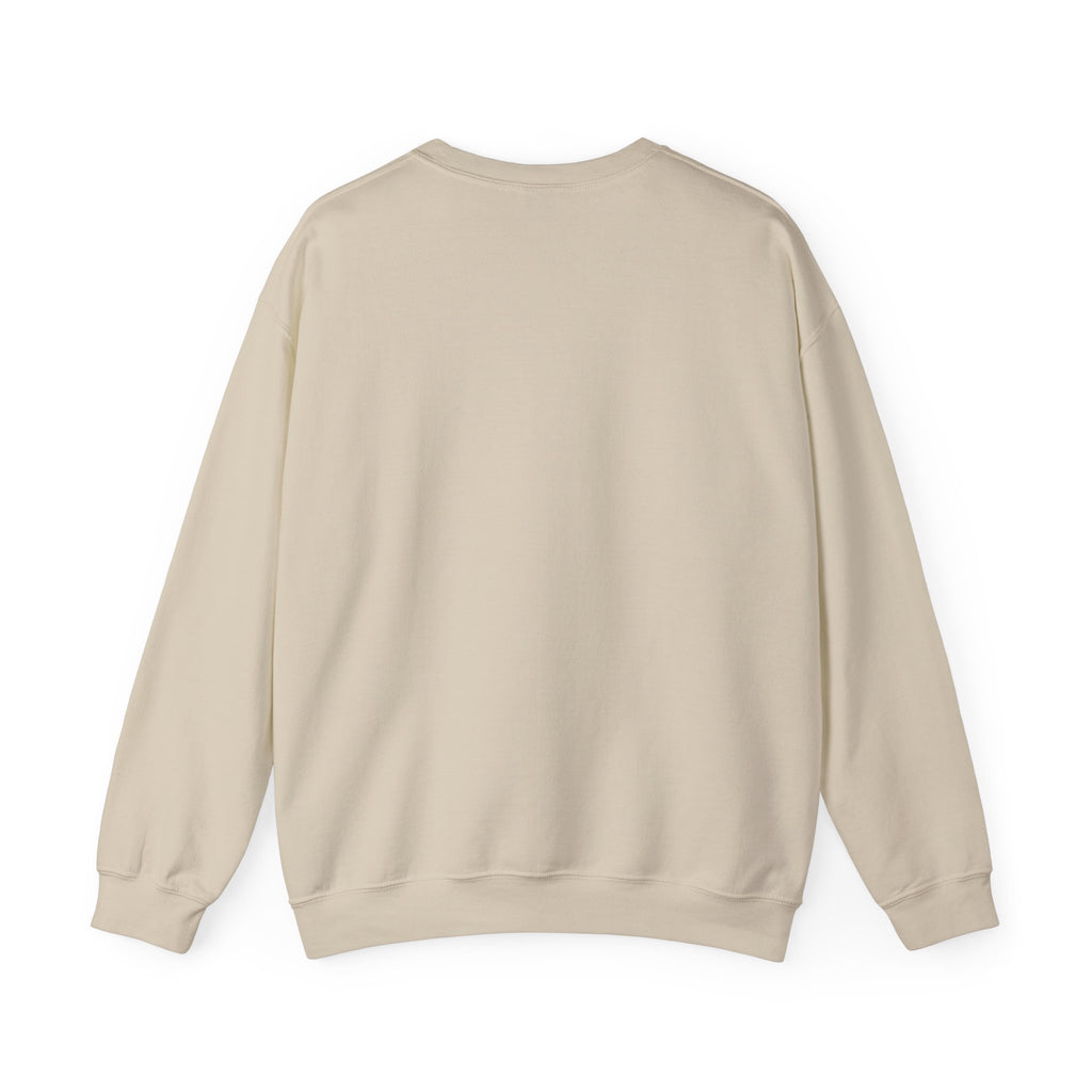HatchSafe "Timmy The Turtle" Logo Cozy Pullover