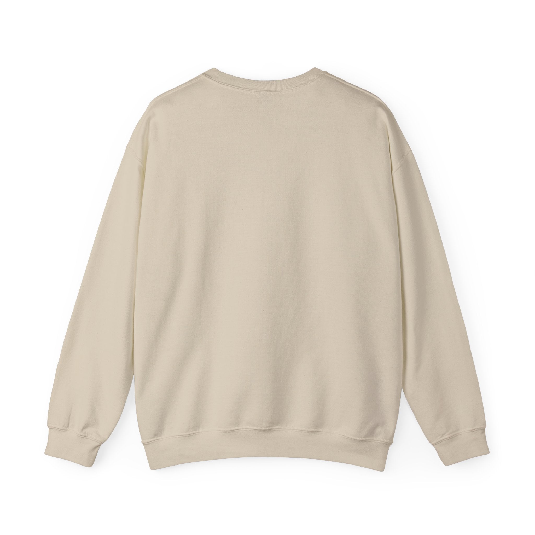 HatchSafe "Timmy The Turtle" Logo Cozy Pullover