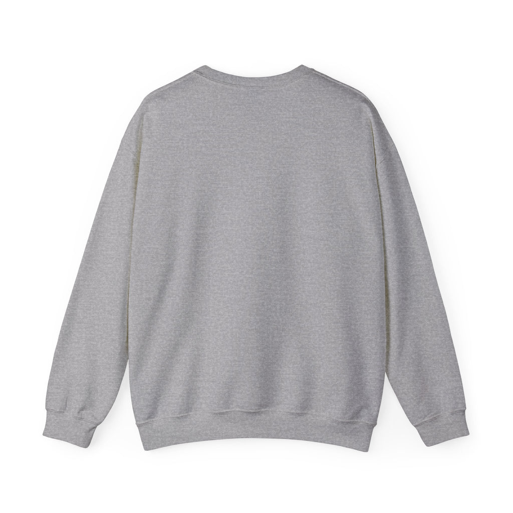 HatchSafe "Timmy The Turtle" Logo Cozy Pullover