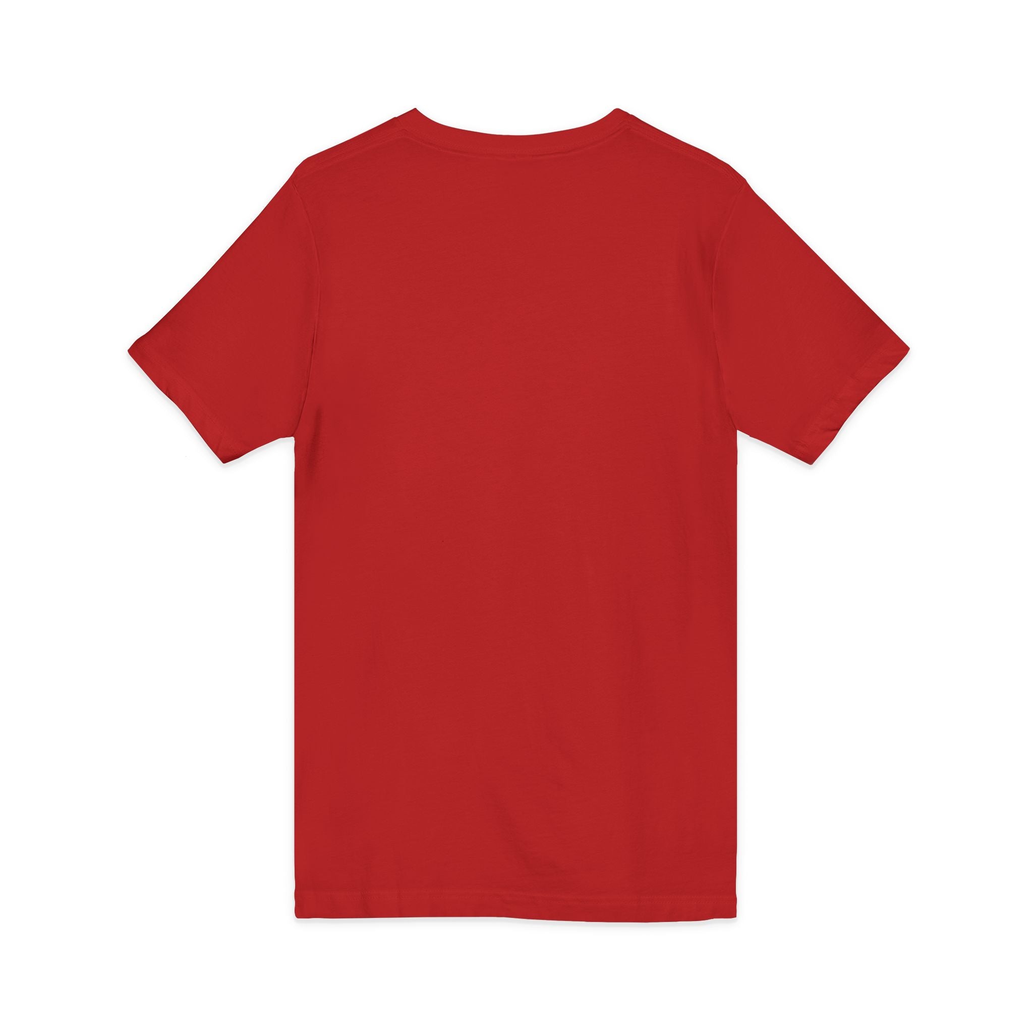 HatchSafe Turtle Logo V-Neck Tee
