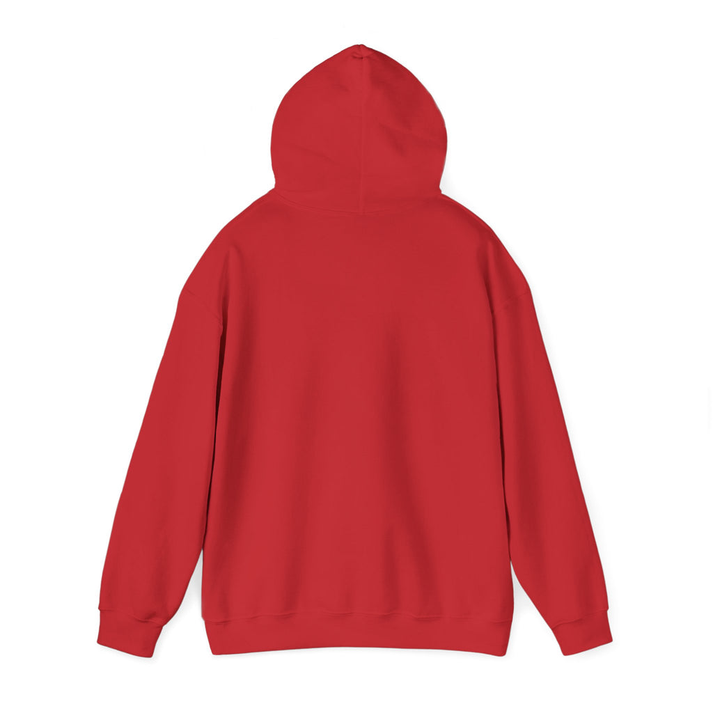 Unisex "Timmy the Turtle" Hoodie Sweatshirt